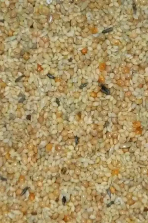 Boer Tropenzaad 5 kg Merkproduct